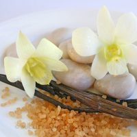 Candle - Simply Soy Jar - Vanilla