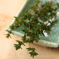 Pure Essential Oil - Thyme - Red