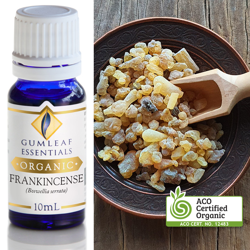Organic Frankincense Essential Oil