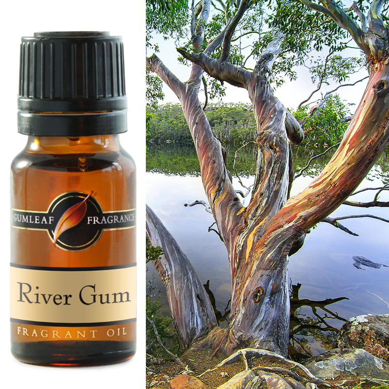 Fragrant Oil - River Gum